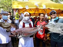 Mimpi Mancing Dapat Ikan Besar Bersisik